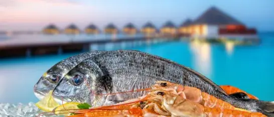  Oranjestad is dé culinaire hotspot van Aruba